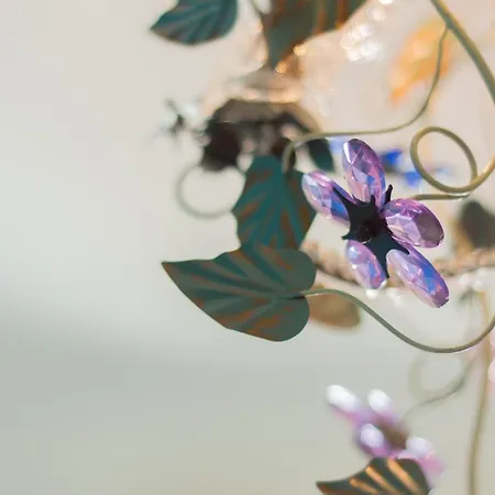 Apartmán Sunlight - 